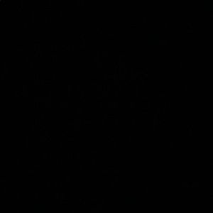 Meet your Posher, Elke